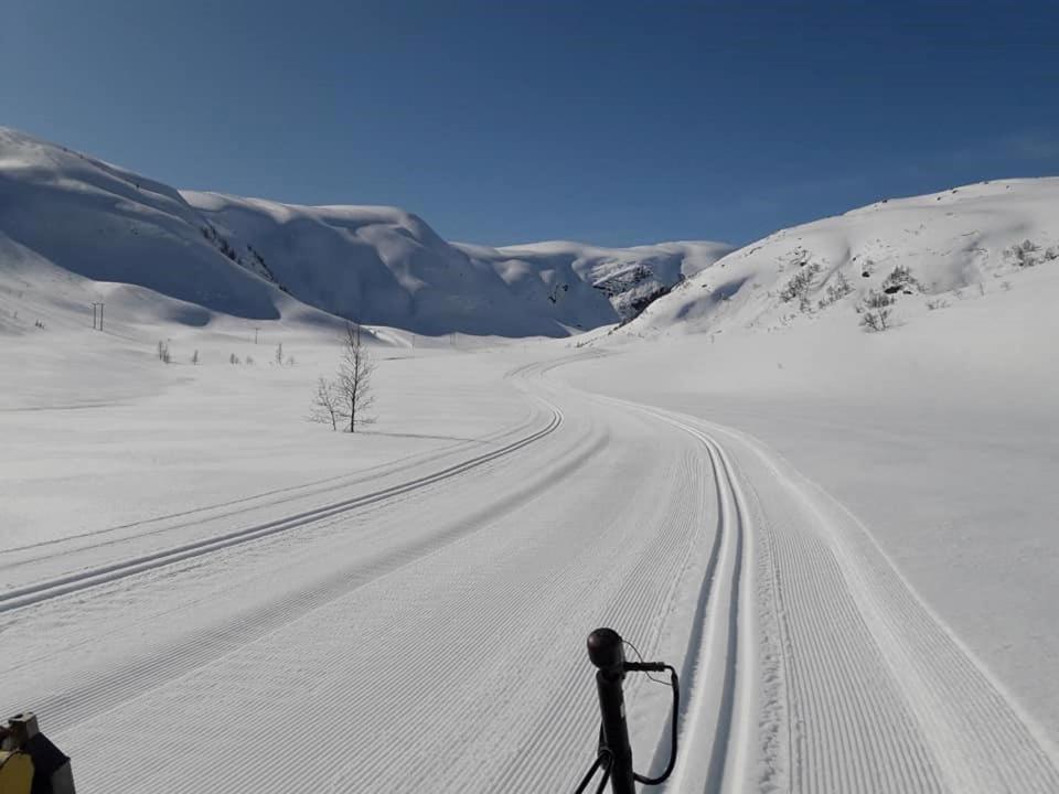 Balestrand Fjordapartments エクステリア 写真