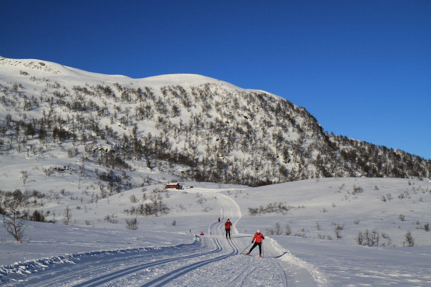 Balestrand Fjordapartments エクステリア 写真